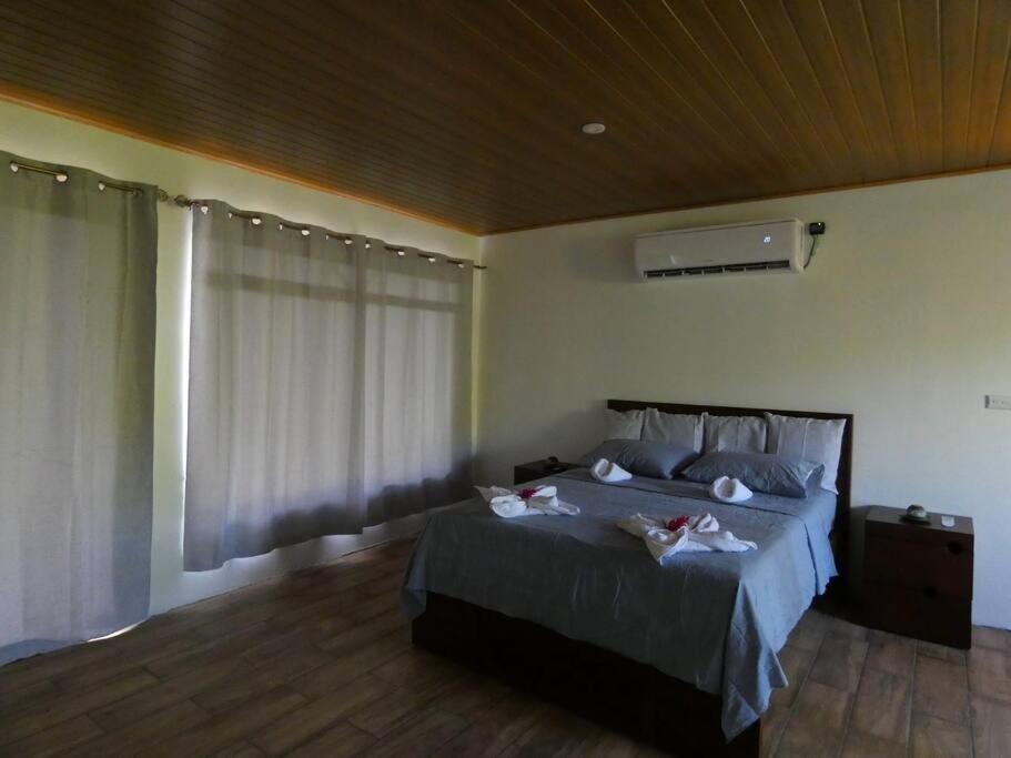 Tapiru's House - Bahia Drake Apartment Drake Bay Bagian luar foto