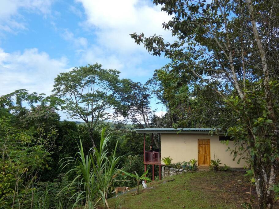 Tapiru's House - Bahia Drake Apartment Drake Bay Bagian luar foto