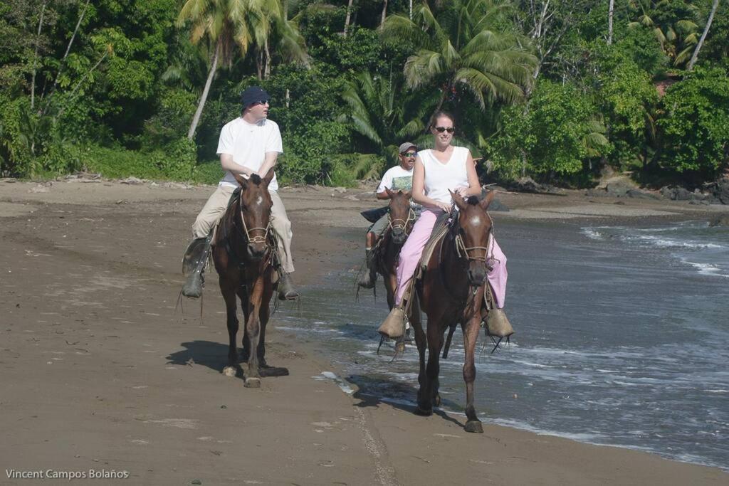 Tapiru's House - Bahia Drake Apartment Drake Bay Bagian luar foto