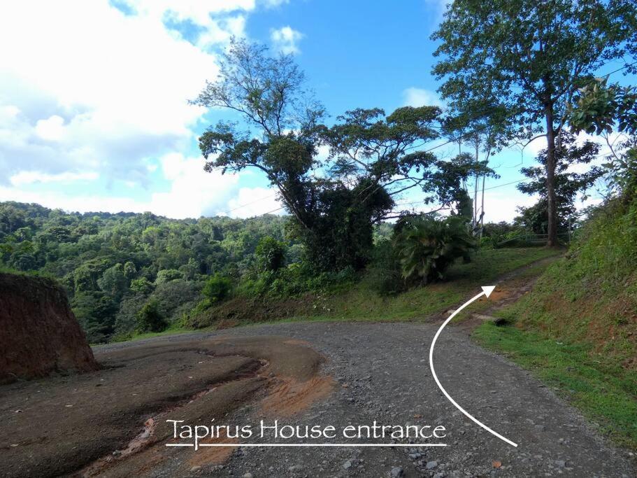 Tapiru's House - Bahia Drake Apartment Drake Bay Bagian luar foto