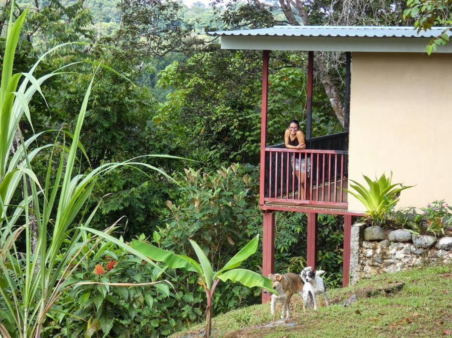 Tapiru's House - Bahia Drake Apartment Drake Bay Bagian luar foto