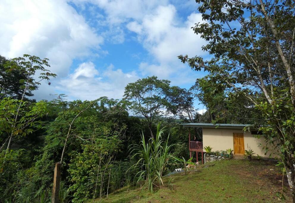 Tapiru's House - Bahia Drake Apartment Drake Bay Bagian luar foto