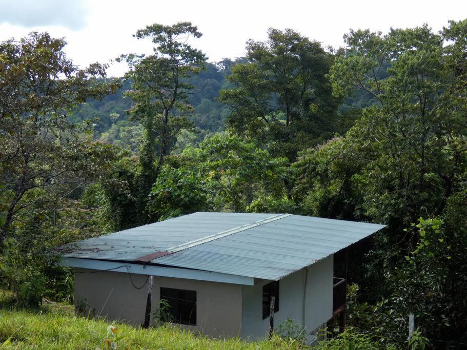 Tapiru's House - Bahia Drake Apartment Drake Bay Bagian luar foto